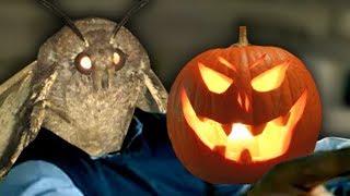 When you're a moth but it's October