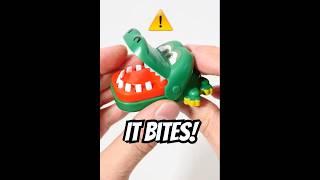 I Played The Worlds Smallest Crocodile Dentist