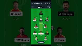 PAK vs ZIM Dream11, ZIM vs PAK Dream11 Prediction, Zimbabwe vs Pakistan 1st ODI Dream11 Prediction