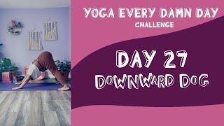 IT'S TIME FOR DOWNWARD DOG! | #yogaeverydamnday