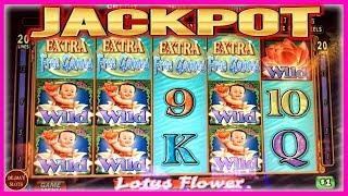 HUGE JACKPOT! INCREDIBLE 4 COIN RETRIGGER! LOTUS FLOWER SLOT MACHINE