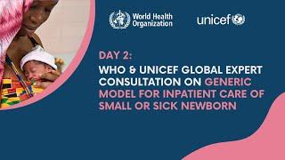 Day 2: WHO & UNICEF Global expert consultation on a generic model for inpatient care of SSNB