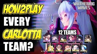 EVERY CARLOTTA TEAM: How To Play 12 Teams (Patch 2.0) | Wuthering Waves