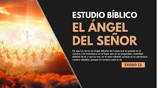 Estudio Bíblico | El Ángel del Señor y los tiempos de Dios  - REFLEXIÓN.