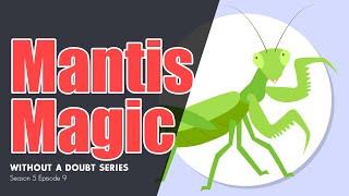 Mantis Magic