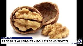 People with nut allergies may really only be sensitive to birch pollen, study finds