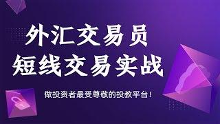 外汇交易员 日内短线交易实战技巧  外汇基础教学课程