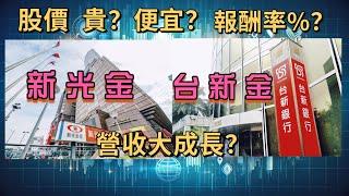 新光金大解密！股價貴 OR 便宜？報酬率%？營收成長性？