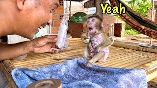 BiBi was surprised and happy to receive a new bottle of milk from his father