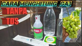 Cara gampang menghitung GA3 ( gibberlin acid ) untuk anggur anti gagal