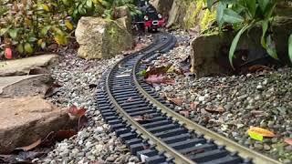 Garden trains