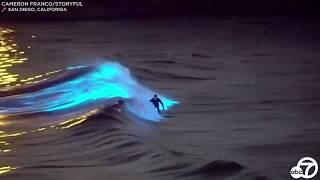 Bioluminescent waves: Surfers ride glowing waters off San Clemente, San Diego coasts | ABC7