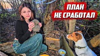 Все старания зря | Орловская обл, Колпнянский р/н д.Удеревка