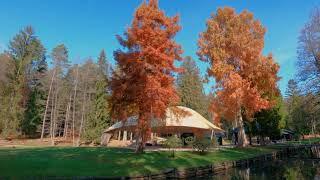 Amazing Autumn Nature - Colorful Brdo Park, Slovenia