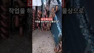 에어컨 라지에이터 작업 하지마세요#shots /고물쟁이 경험으론 고물상에 작업없이 파시는게 이득 입니다 / 구독️부탁합니다/ #에어컨 #라지에이터 #고물상 #고물쟁이