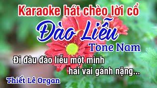 Đào Liễu Karaoke - Chèo Lời Cổ Tone Nam - Thiết Lê Organ