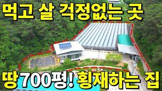 [초급매] 토지와 과수원 700평+올수리 주택~ 가격 포기했습니다! 노후,먹고살 "걱정없는" 횡재하는 곳~ 몽땅 드립니다. 몸만오세요