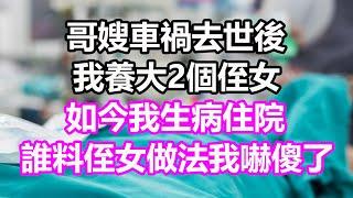 哥嫂車禍去世後，我養大2個侄女，如今我生病住院，誰料侄女做法我嚇傻了#淺談人生#民間故事#孝顺#儿女#讀書#養生#深夜淺讀#情感故事#房产#晚年哲理#中老年心語#養老#真實故事#兒女的故事#小嫺說故事