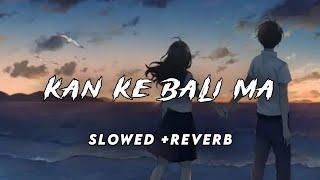 KAN KE BALI MA ll cg lofi song hay re mor bairi naina ll Slowed+Reverb ll Guiya