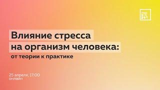 Влияние стресса на организм человека: от теории к практике (ITMO.Expert)