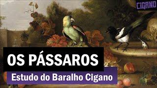 Baralho Cigano: Carta 12 - Os Pássaros 