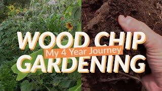 My 4 Year Journey Into Wood Chip Back To Eden Style Gardening.