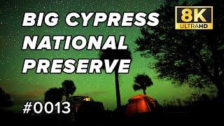 8K Timelapse of the Night Sky at Big Cypress National Preserve (Sony A7R4 & G-Master 16-35mm)