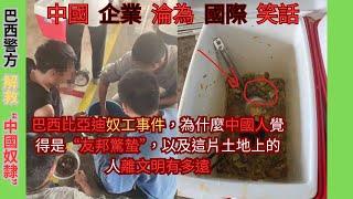 巴西比亞迪奴工事件，為什麼中國人覺得是“友邦驚蟄”，以及這片土地上的人離文明有多遠|| reaction video