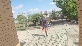 Большое видео про утро уток !