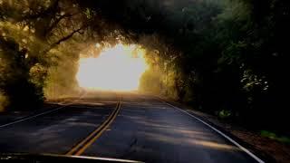 ONE BRIGHT & FOGGY MORNING