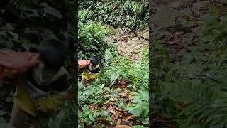 alone in the forest #shorts #survival #thuthuy #nature #forest