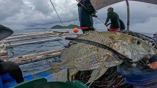 Bagong Magic Ni Butchokoy Bagong Isda Ang Huli