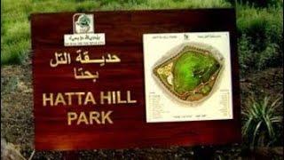 Hatta Hill Park #DreamTraveler #HattaHillPark / Hatta Road Trip Part 01