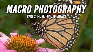 Macro Photography | Part 2: More Fundamentals