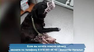 Анонс 7 августа
