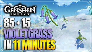 Violetgrass Locations | Fast and Efficient Farming Route | Ascension Materials |【Genshin Impact】