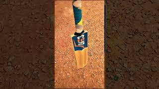 My Bat + My Editing = How is it
