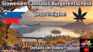 Slowenien Cannabis Bürgerentscheid - JA zu Entkriminalisierung/Legalisierung, schon bald? Kurzinfo