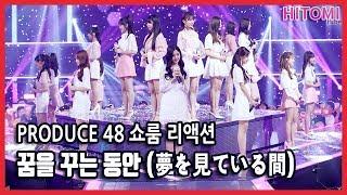 produce48 쇼룸 반응 - 꿈을 꾸는 동안 (夢を見ている間)