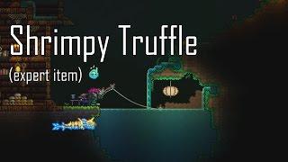 [Terraria] Expert Item: Shrimpy Truffle (Хлипкий трюфель)