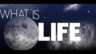 SASH! - What Is Life