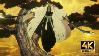 Shunsui kyoraku vs Lille Barro Full Fight (4K) | BLEACH: Thousand-Year Blood War