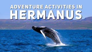 Top 7 Adventure Activities in Hermanus | South Africa