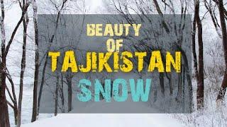 Heavy Snow in Dushanbe, Tajikistan | Avicenna Tajik State Medical University | Indian Students