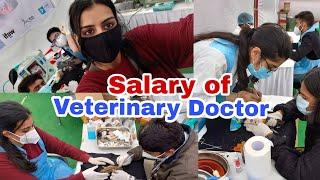 Salary of Veterinary Doctor  #vet #veterinary #veterans #new #neet #newvideo #veterans #salary