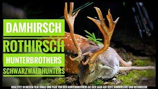 Auf Damhirsch und Rothirsch mit den Hunterbrother - Reifer Schaufler - Schwarzwaldhunters