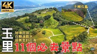 Hualian Yuli In-depth Tourism | Golden Needle Flowers in Taiwan