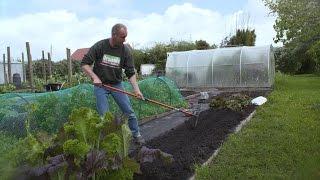 Sowing Carrots and Summer Onions, Hilling up Potatoes and Chitting Kumara