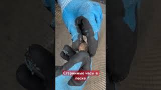 Чистка старинного пляжа от мусора и дорогих находок