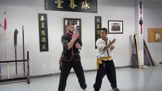 Wing Chun Sil Lim Tao Application - Step by Step - SECTION 1 - LESSON 3A